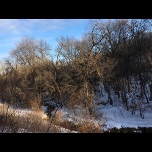 Meet your Posher, Thomas